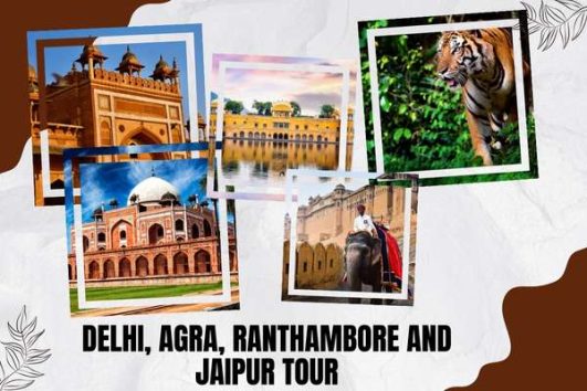 Delhi Agra Ranthambore and Jaipur Tour – 7 Days (1)